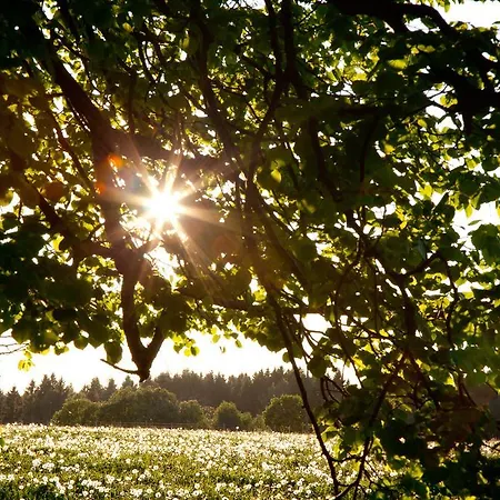 Adami Country *