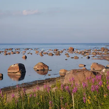 Gasthof Adami Country