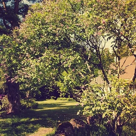 Adami Country Guest house