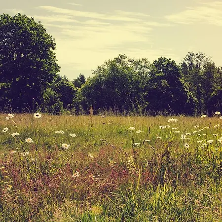 Adami Country *