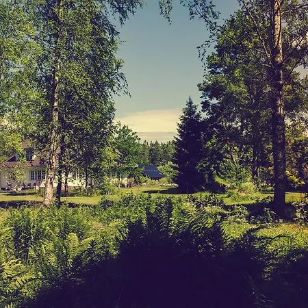 Adami Country Vainupea