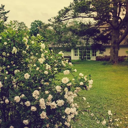 Guest house Adami Country Vainupea