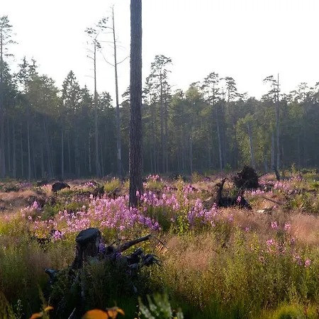 Adami Country Gasthof