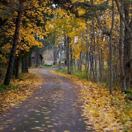 Penzion Adami Country *
