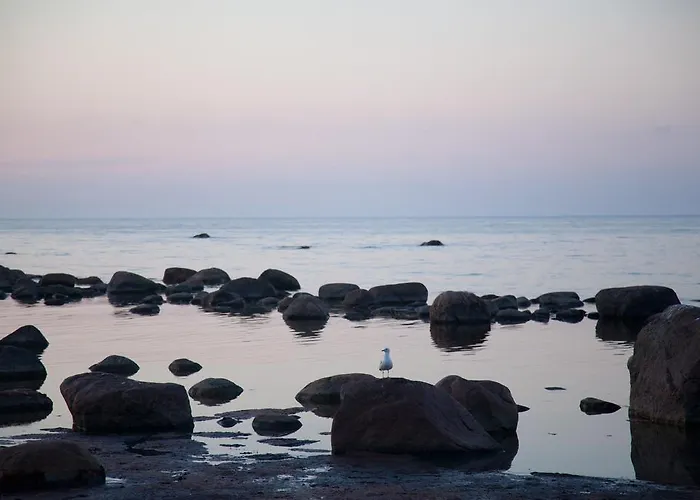 Guest house Adami Country 4*