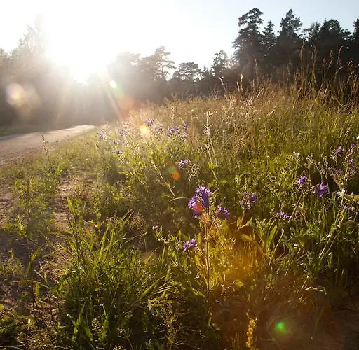 Adami Country Guest house 4*