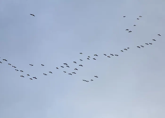 Guest house Adami Country Vainupea