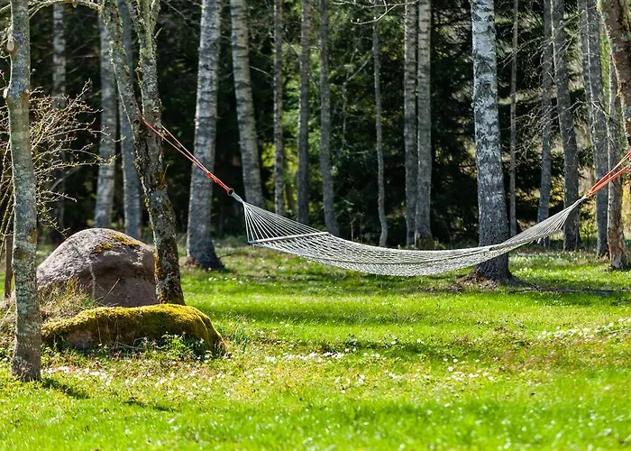 Guest house Adami Country 4*