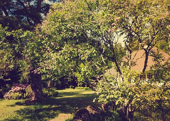 Adami Country Guest house