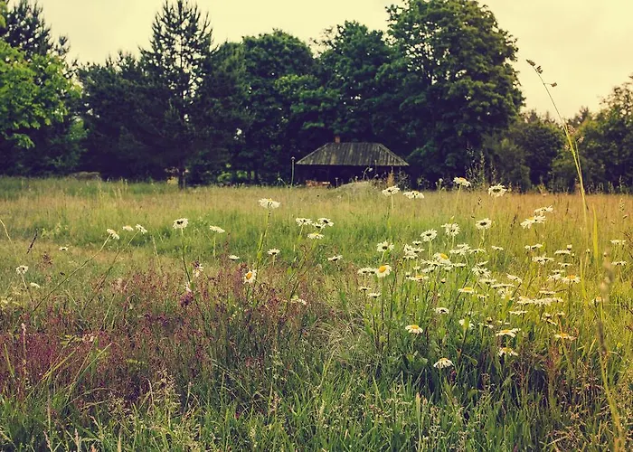 Adami Country Guest house 4*