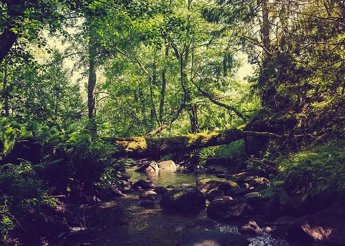 Adami Country Πανσιόν 4*