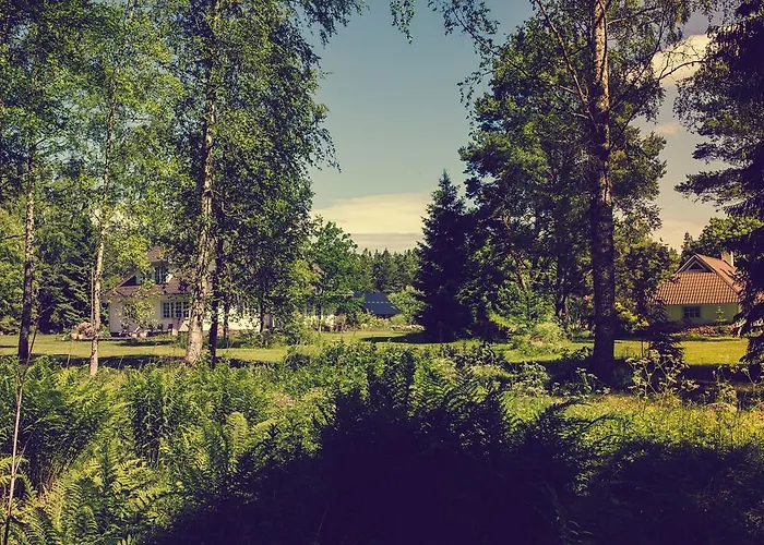 Adami Country Vainupea