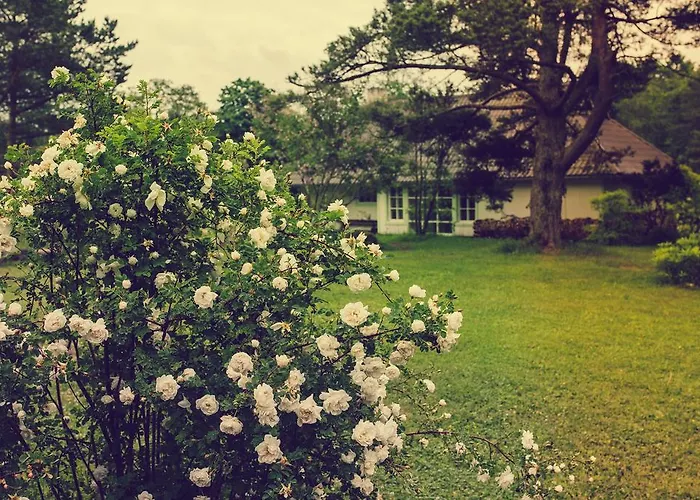 Guest house Adami Country Vainupea