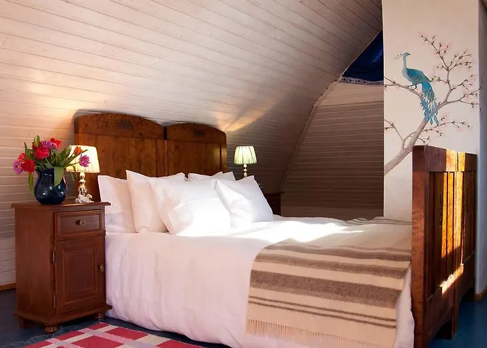 Adami Country Vainupea