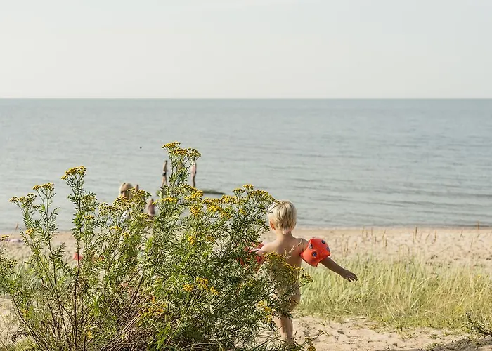 Guest house Adami Country Vainupea