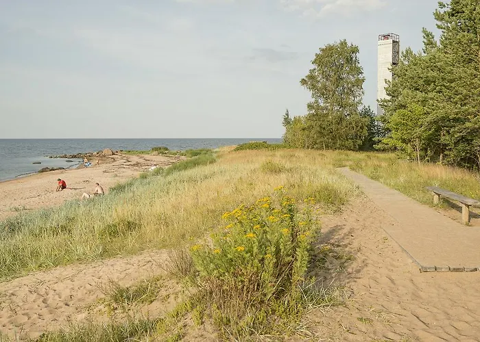 Adami Country Vainupea