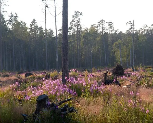 Adami Country Guest house