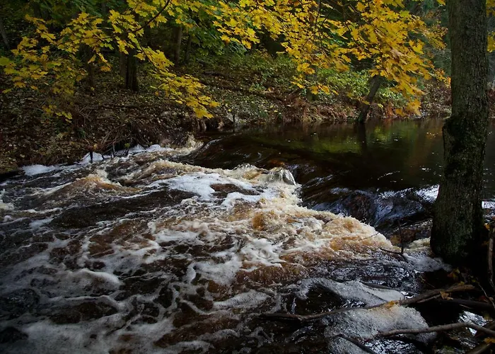 Adami Country 4* Vainupea