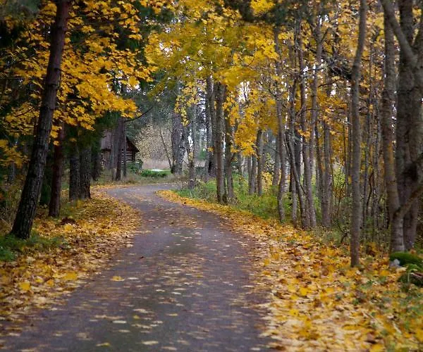 Guest house Adami Country 4*