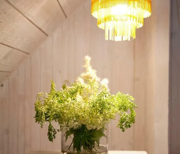 Guest house Adami Country